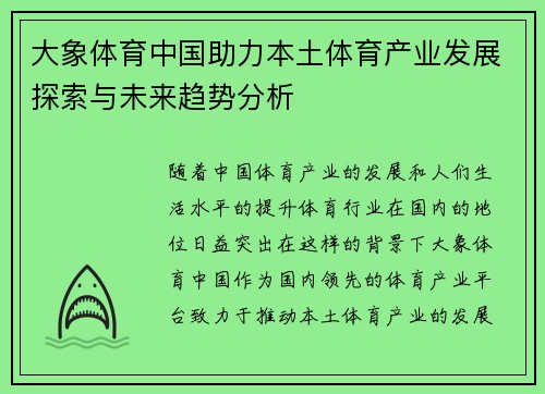 大象体育中国助力本土体育产业发展探索与未来趋势分析
